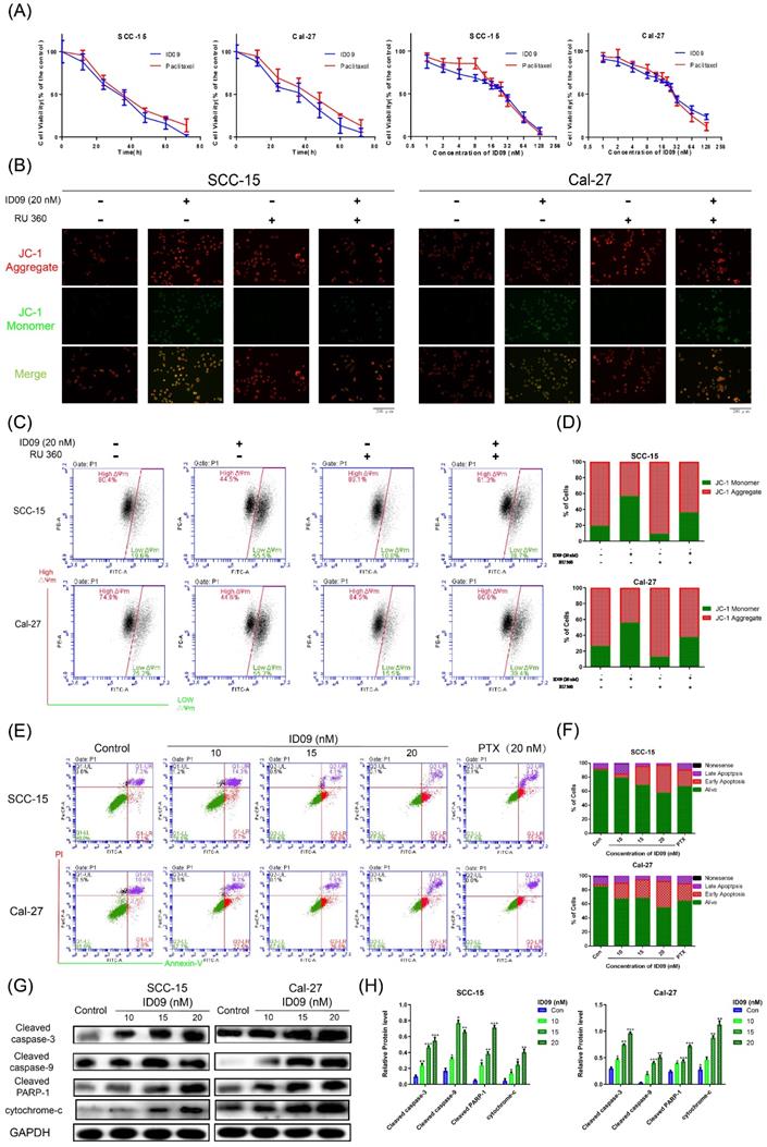 Int J Biol Sci Image