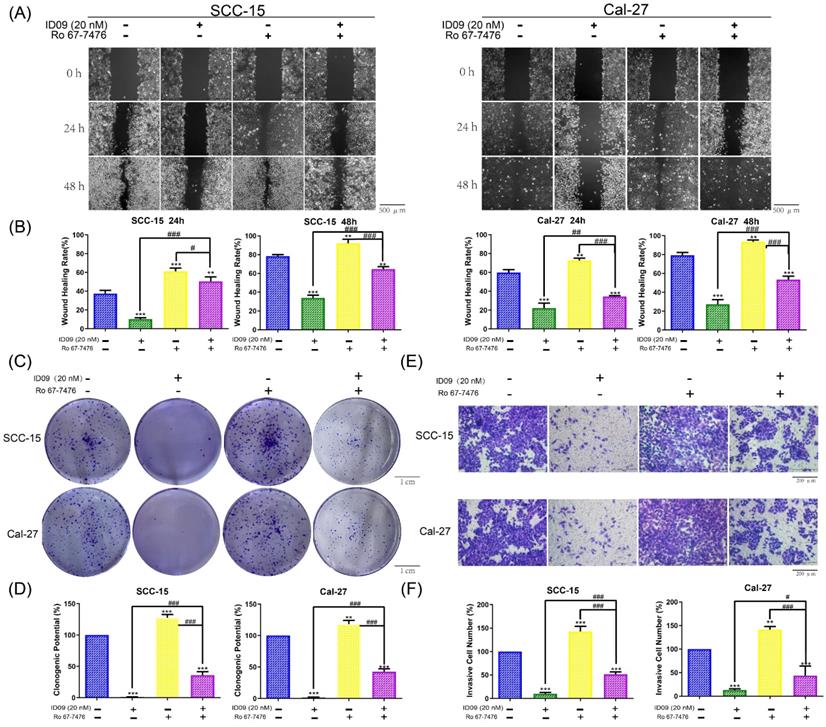 Int J Biol Sci Image