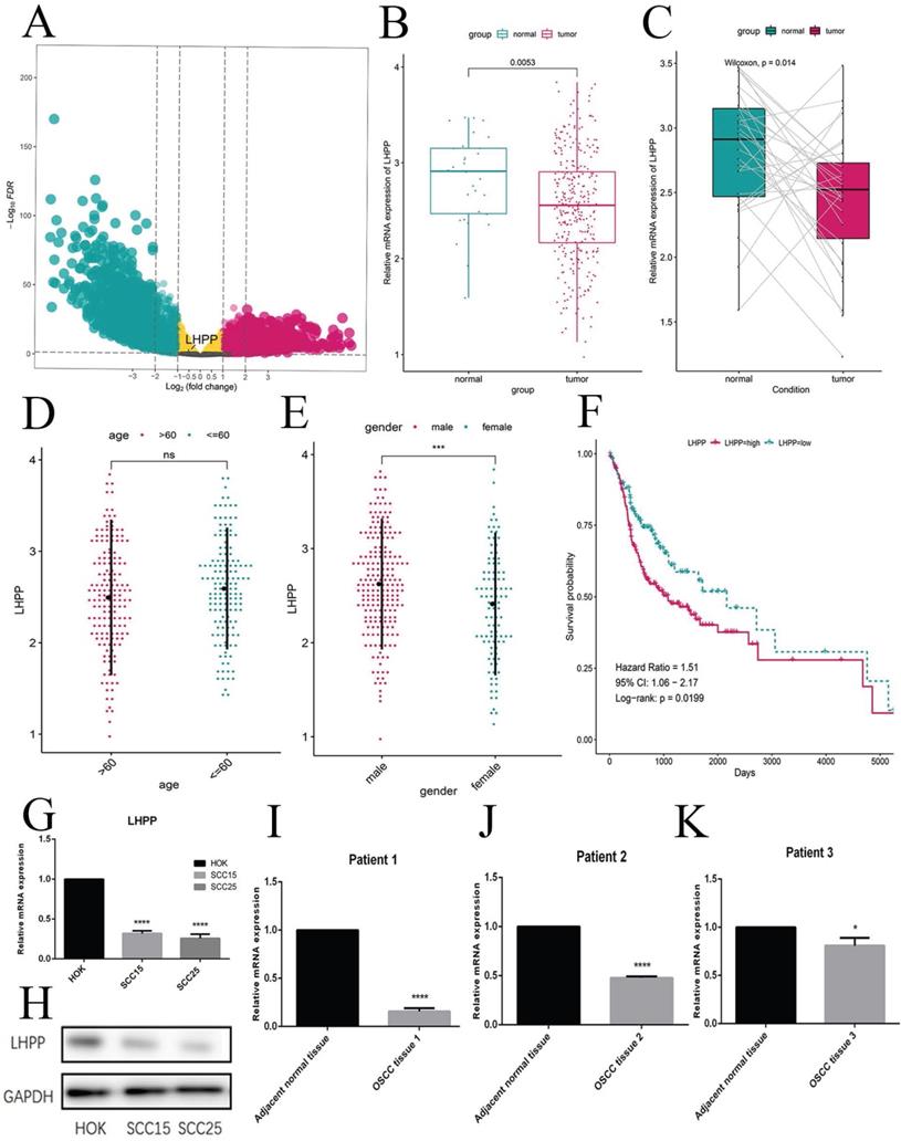 Int J Biol Sci Image