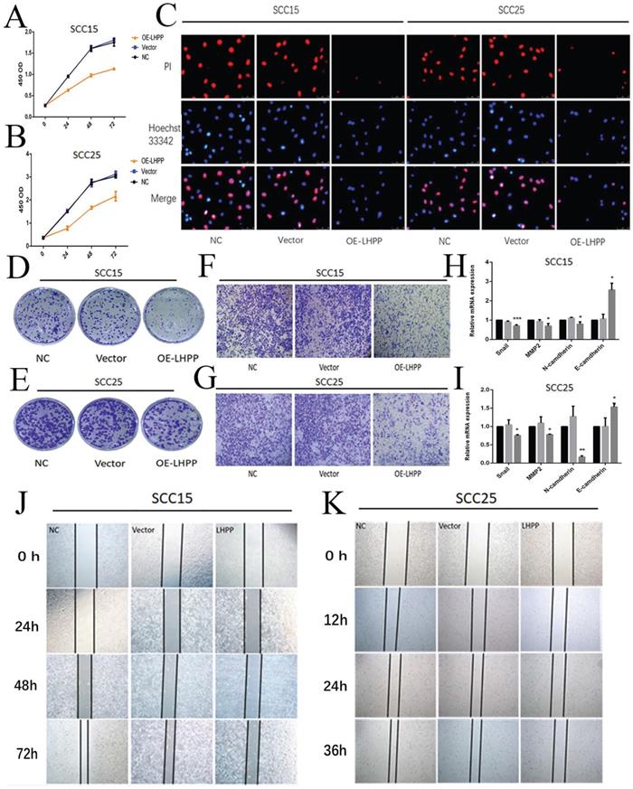 Int J Biol Sci Image