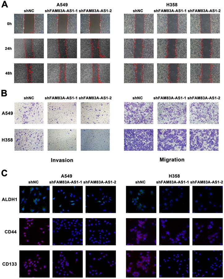 Int J Biol Sci Image