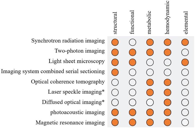 Int J Biol Sci Image