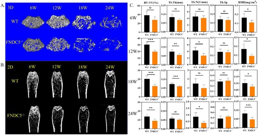 Int J Biol Sci Image