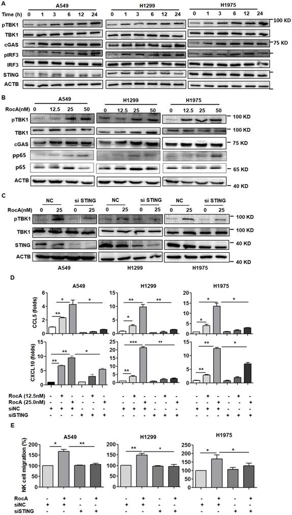 Int J Biol Sci Image