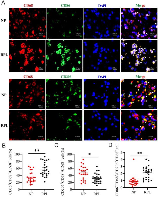 Int J Biol Sci Image