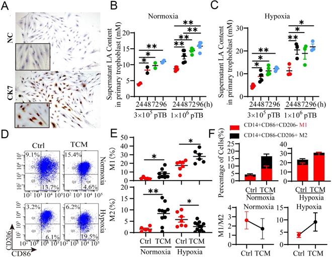 Int J Biol Sci Image