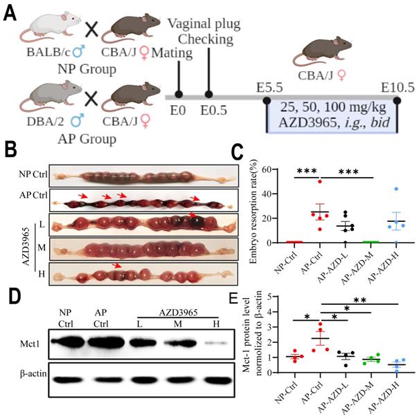 Int J Biol Sci Image