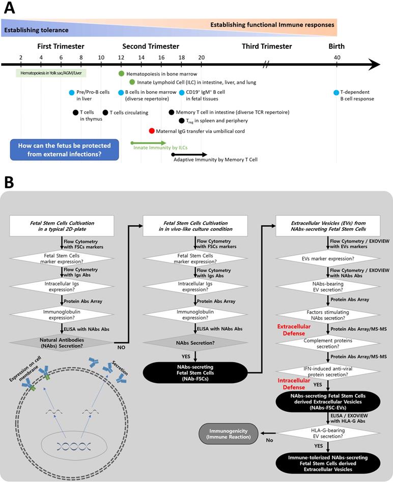 Int J Biol Sci Image