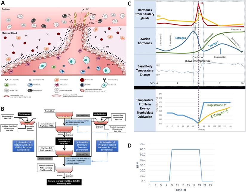 Int J Biol Sci Image