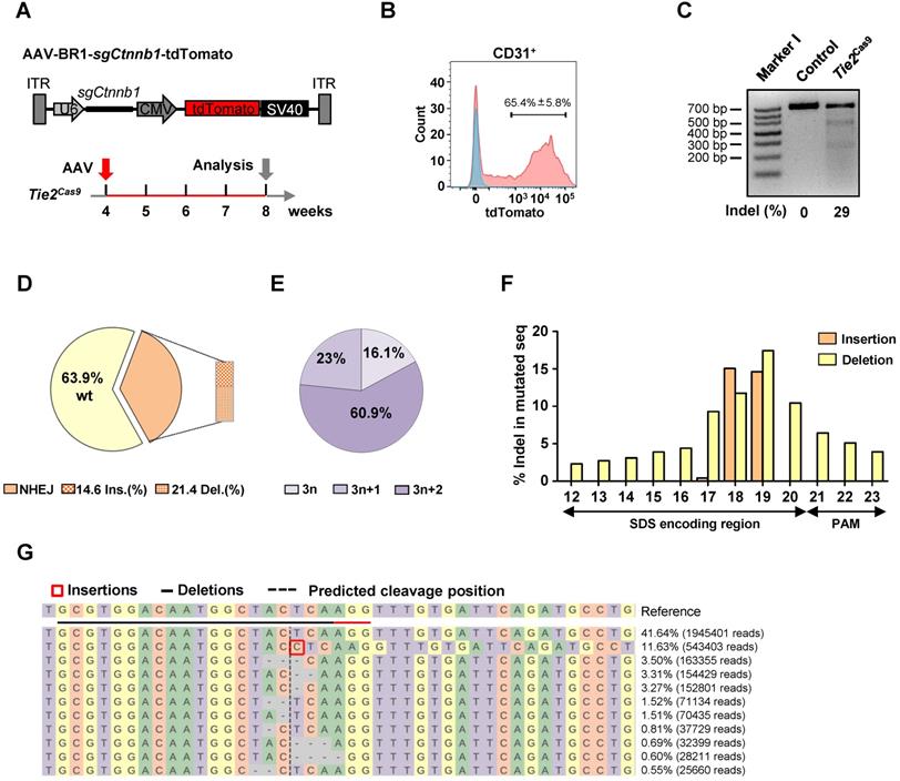 Int J Biol Sci Image