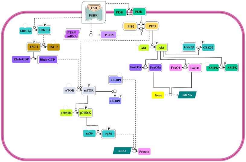 Int J Biol Sci Image