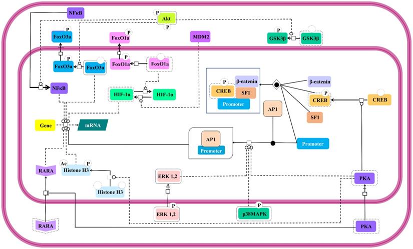 Int J Biol Sci Image