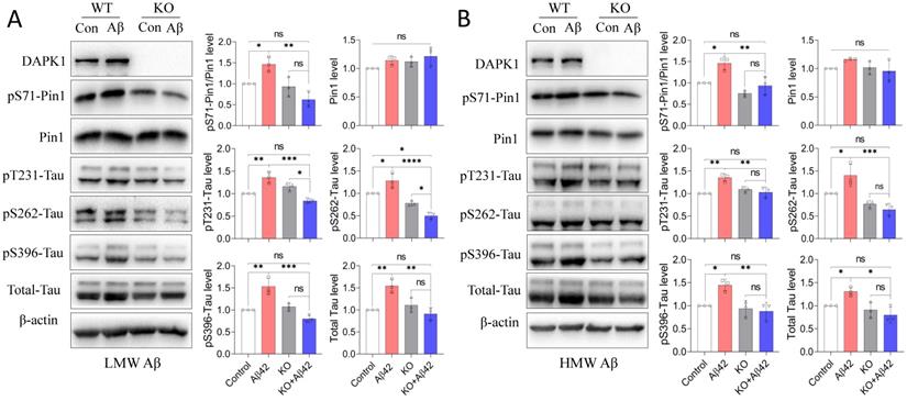 Int J Biol Sci Image