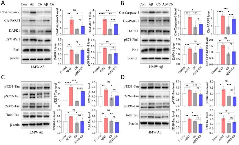 Int J Biol Sci Image