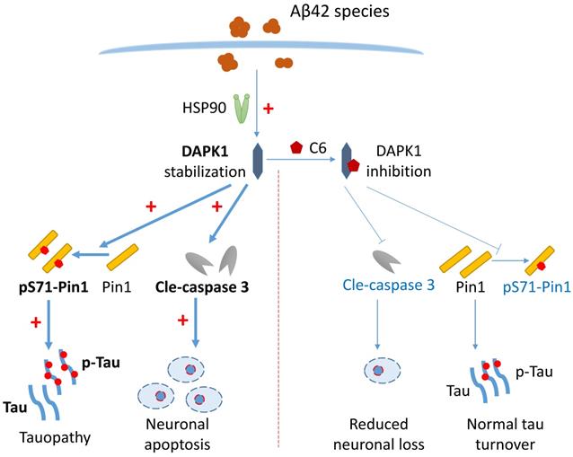 Int J Biol Sci Image