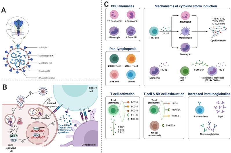 Int J Biol Sci Image