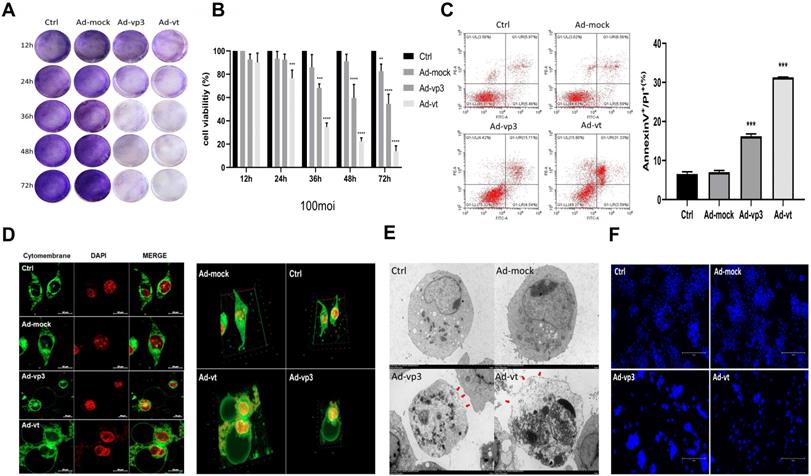 Int J Biol Sci Image