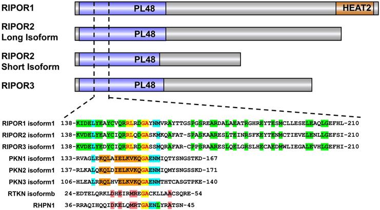 Int J Biol Sci Image