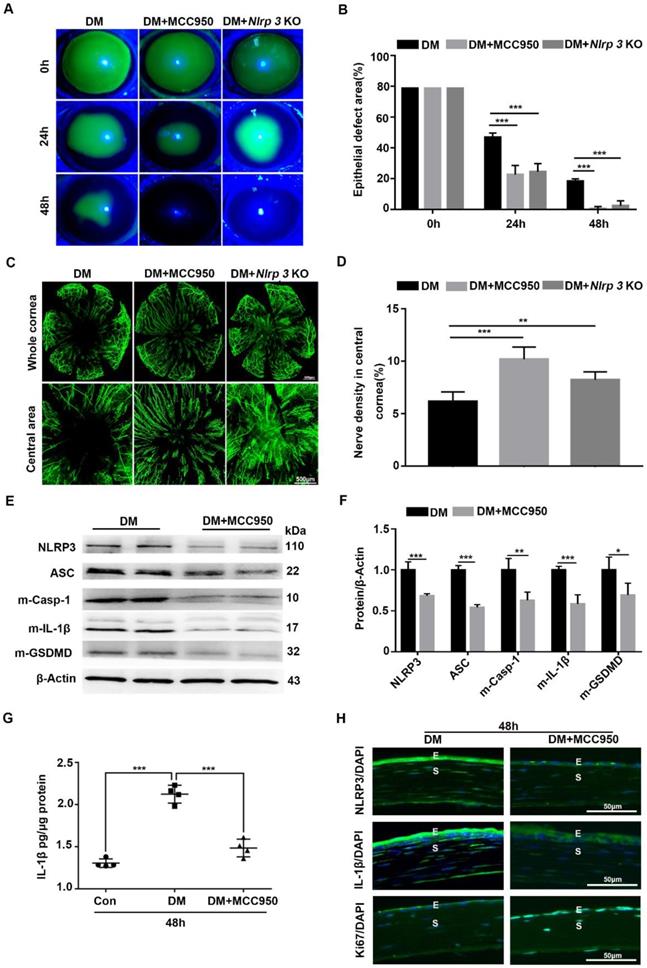 Int J Biol Sci Image