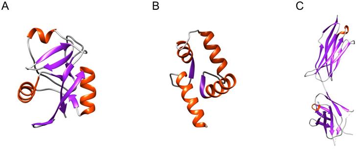 Int J Biol Sci Image