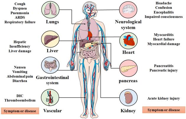 Int J Biol Sci Image