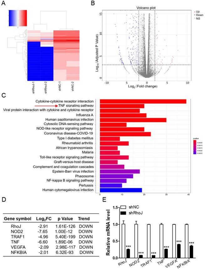 Int J Biol Sci Image