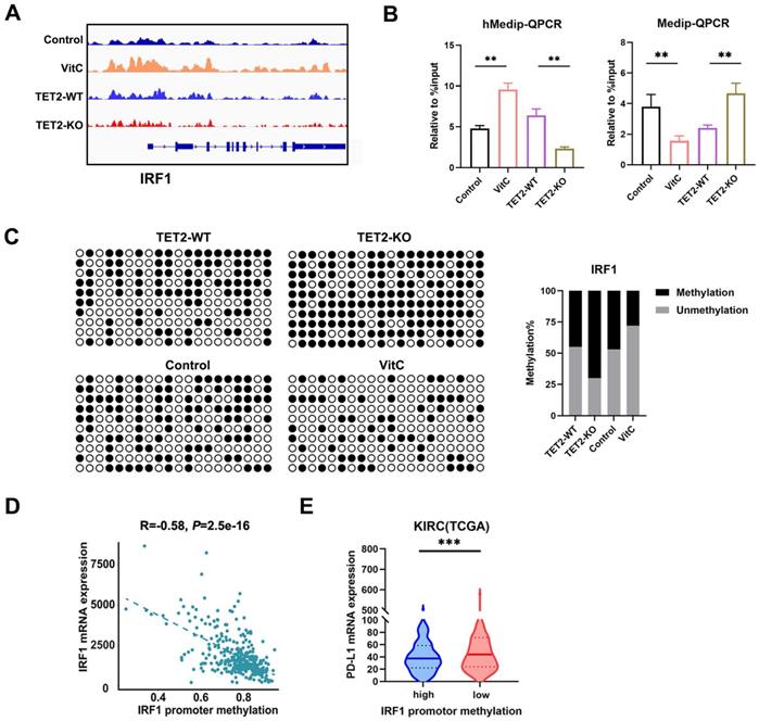 Int J Biol Sci Image