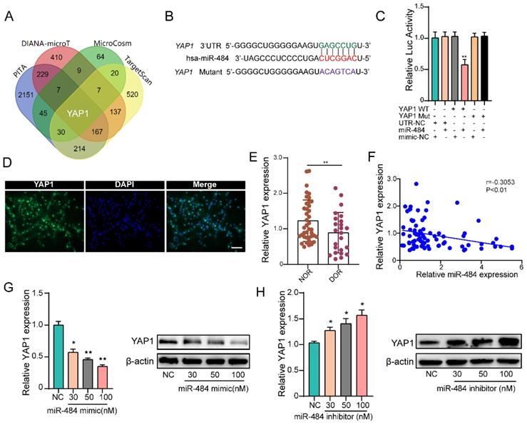 Int J Biol Sci Image