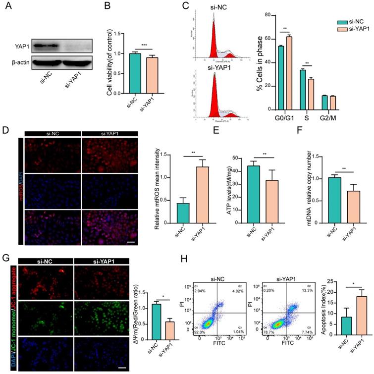 Int J Biol Sci Image