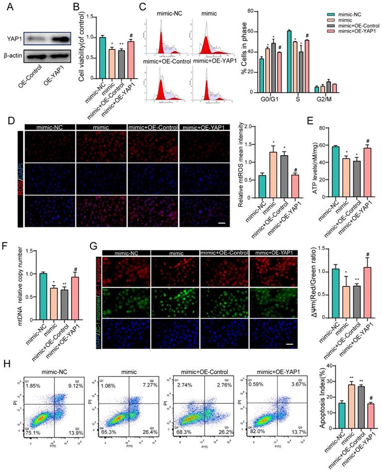 Int J Biol Sci Image