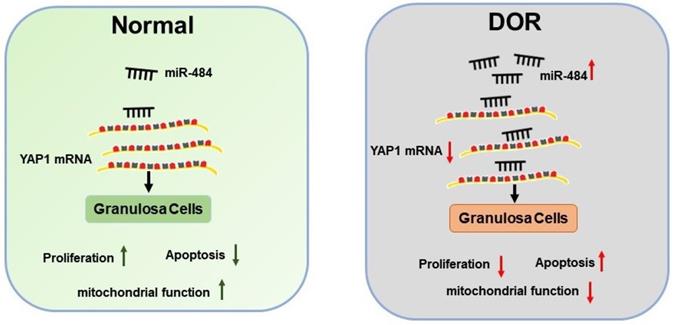 Int J Biol Sci Image