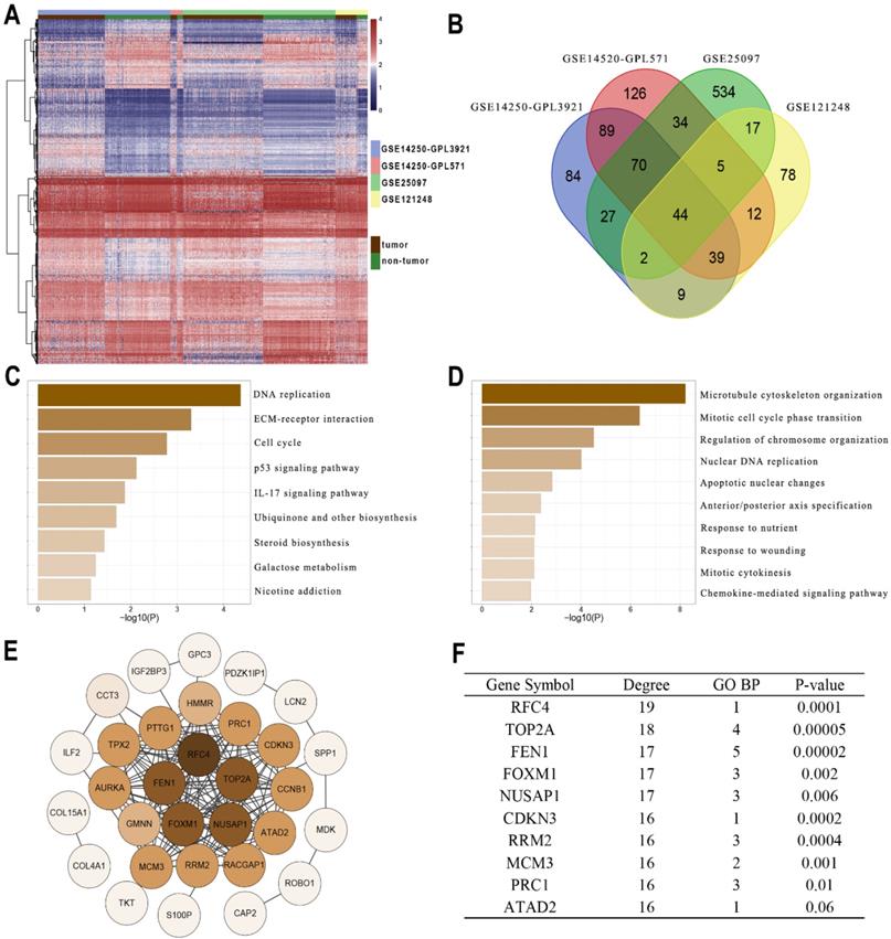 Int J Biol Sci Image