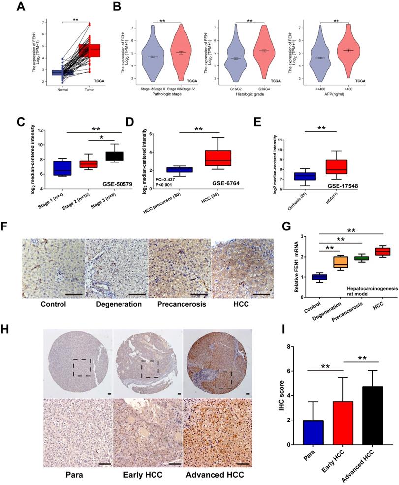 Int J Biol Sci Image