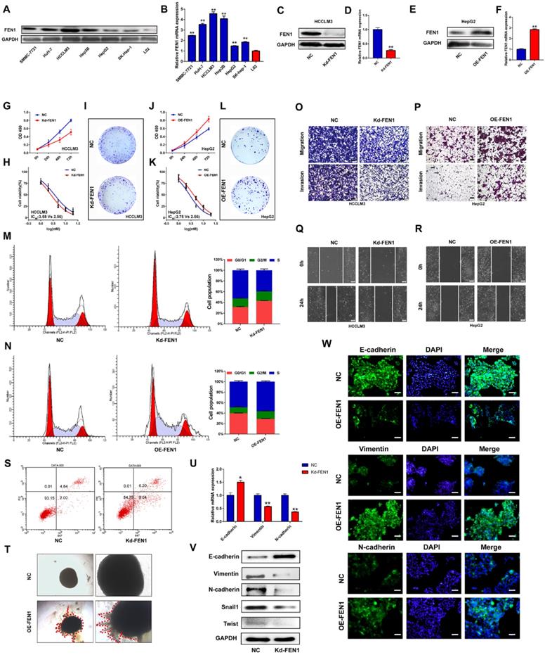 Int J Biol Sci Image