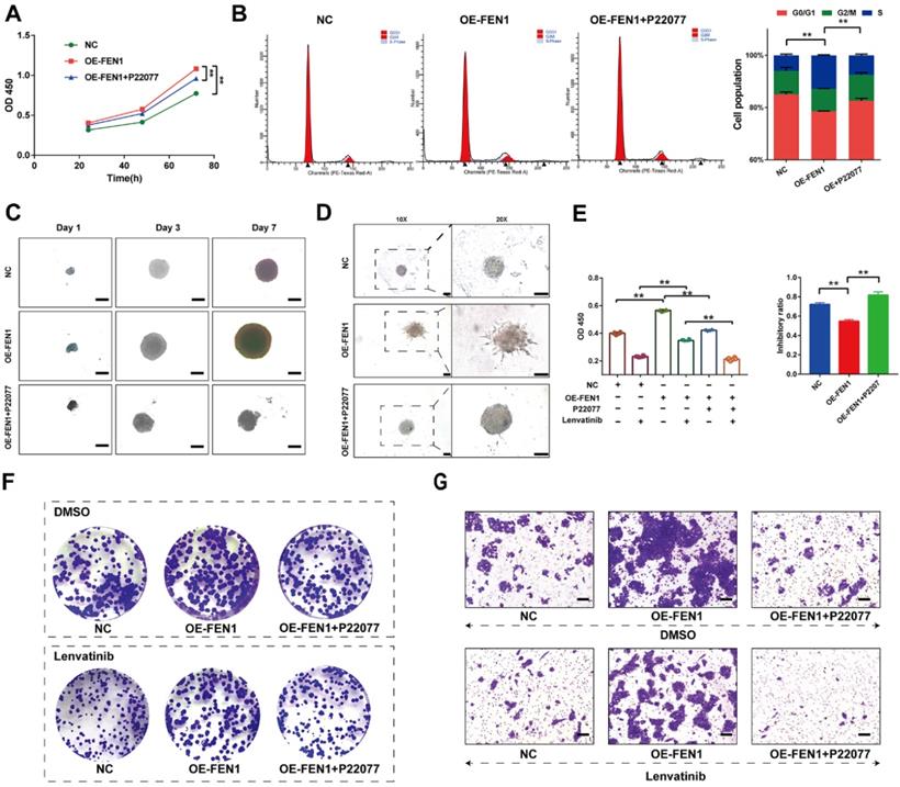 Int J Biol Sci Image