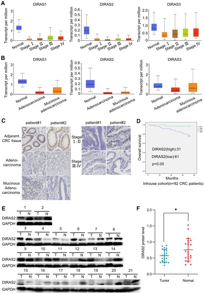 Int J Biol Sci Image