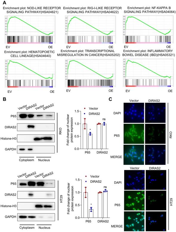 Int J Biol Sci Image