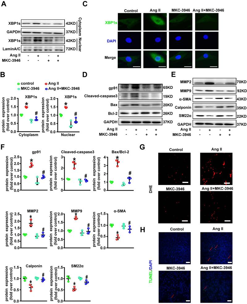 Int J Biol Sci Image