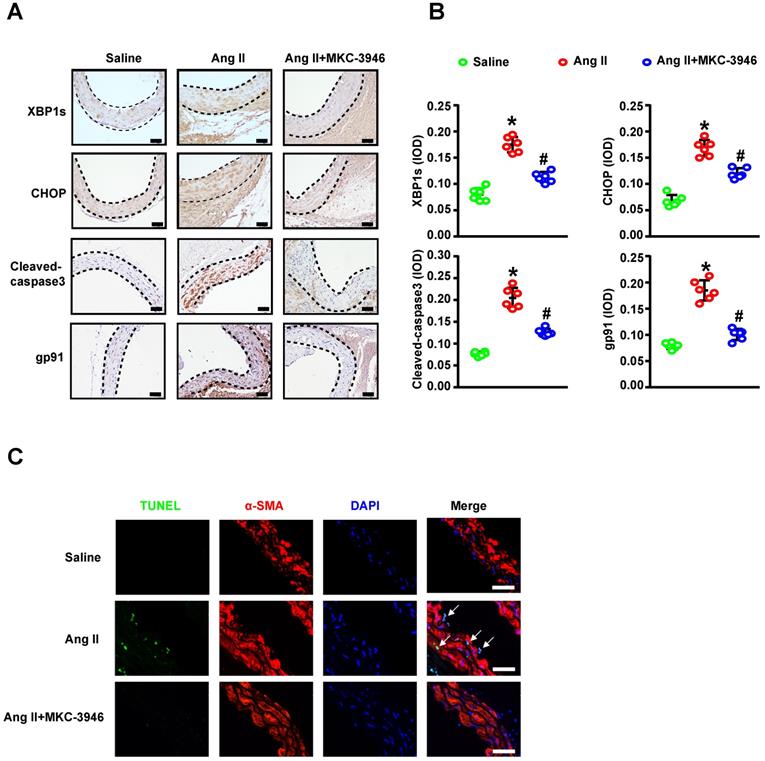 Int J Biol Sci Image