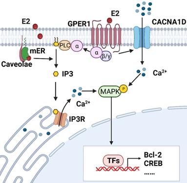 Int J Biol Sci Image