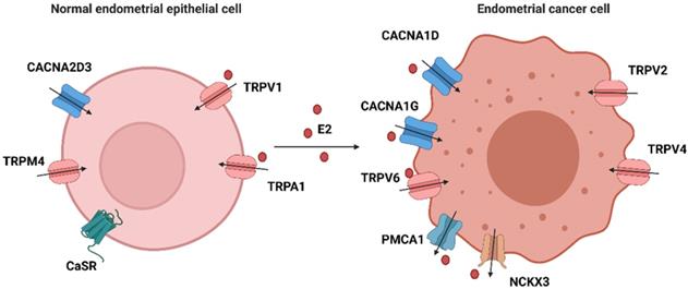 Int J Biol Sci Image