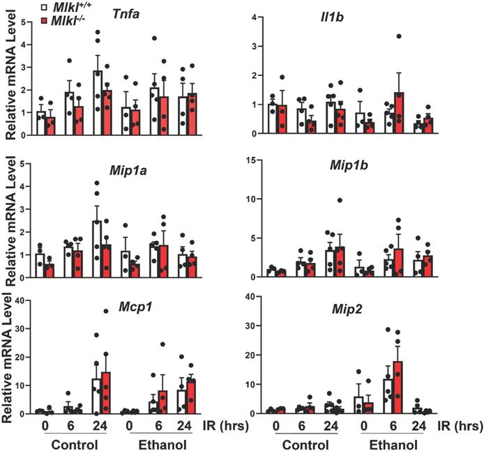 Int J Biol Sci Image