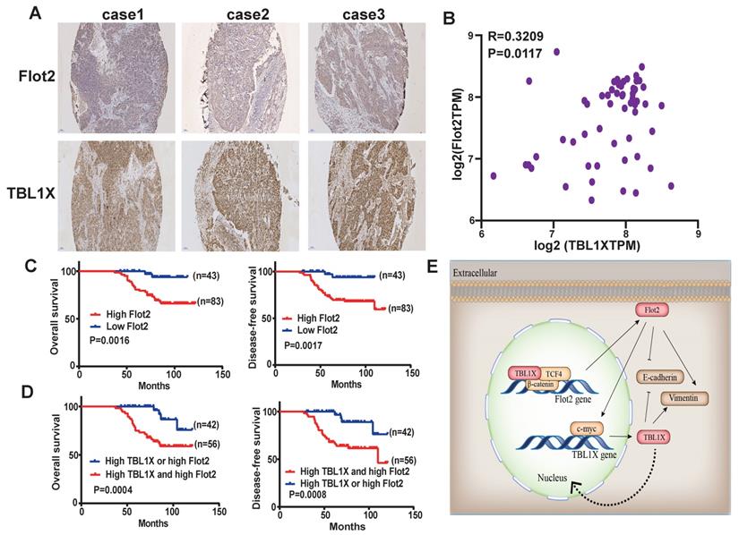 Int J Biol Sci Image