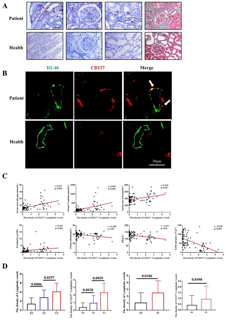 Int J Biol Sci Image