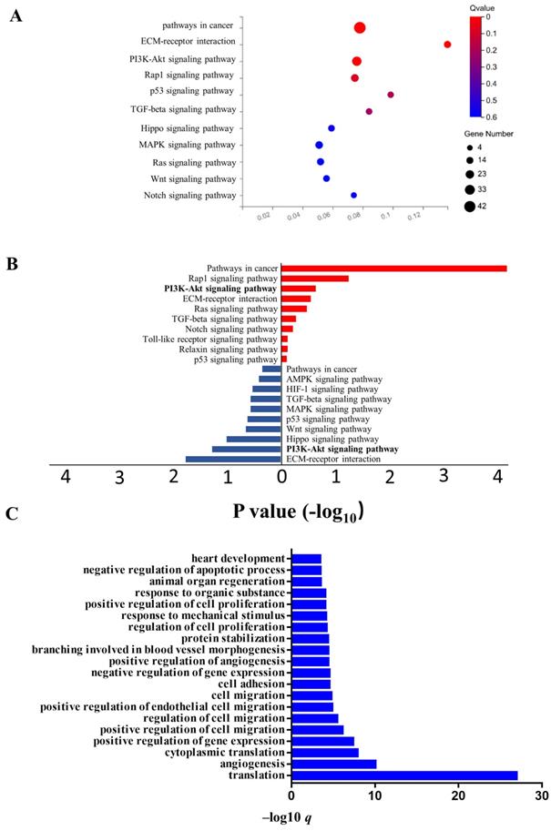 Int J Biol Sci Image