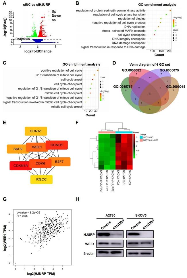 Int J Biol Sci Image