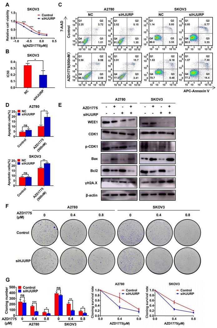 Int J Biol Sci Image