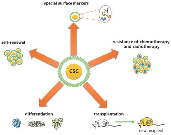 Int J Biol Sci Image