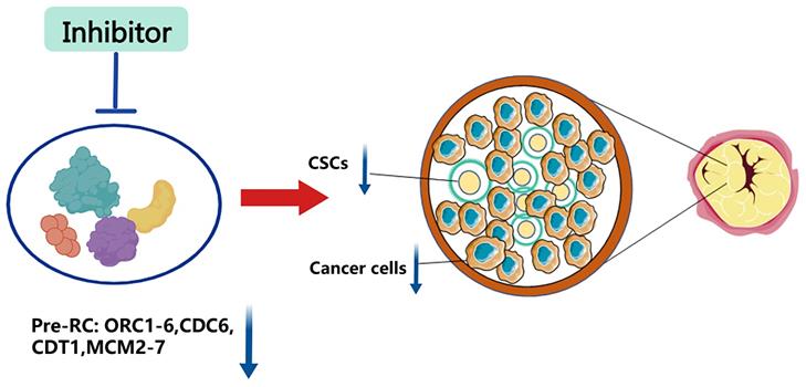 Int J Biol Sci Image