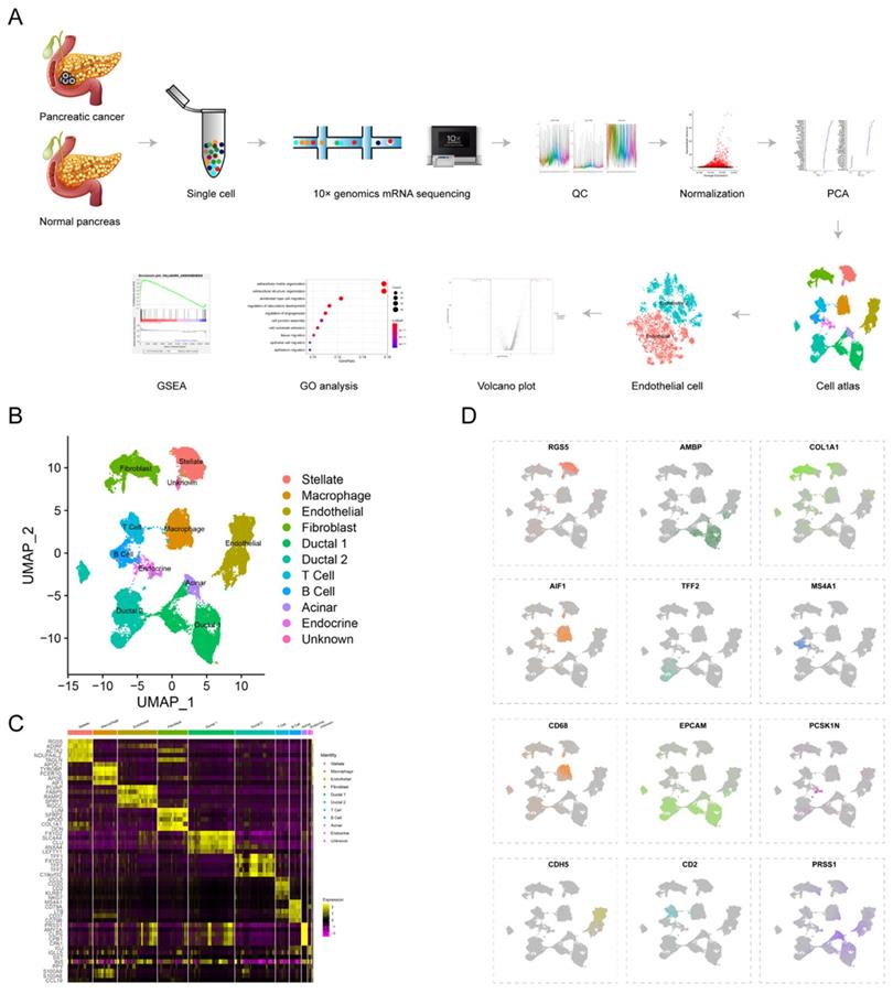 Int J Biol Sci Image